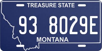 MT license plate 938029E