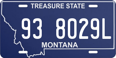 MT license plate 938029L