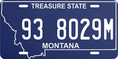 MT license plate 938029M