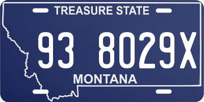 MT license plate 938029X