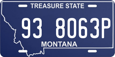 MT license plate 938063P