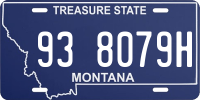MT license plate 938079H