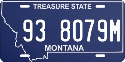MT license plate 938079M