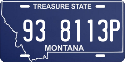 MT license plate 938113P