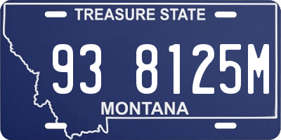 MT license plate 938125M