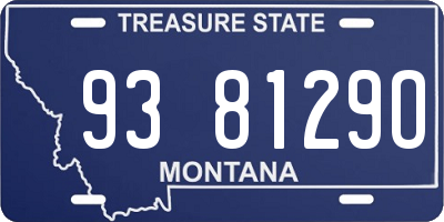 MT license plate 938129O