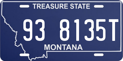 MT license plate 938135T
