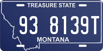 MT license plate 938139T