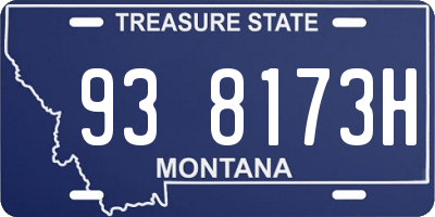 MT license plate 938173H