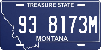 MT license plate 938173M