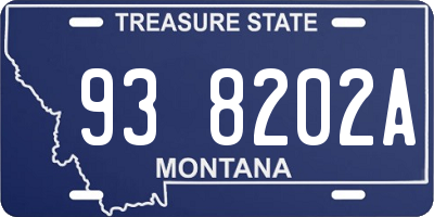 MT license plate 938202A