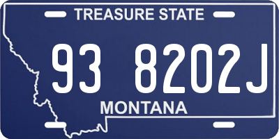 MT license plate 938202J