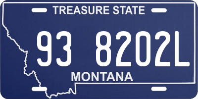 MT license plate 938202L