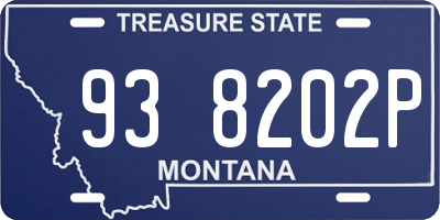 MT license plate 938202P