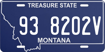 MT license plate 938202V
