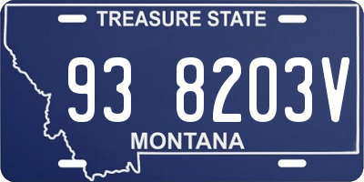MT license plate 938203V