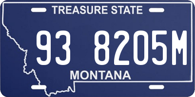 MT license plate 938205M