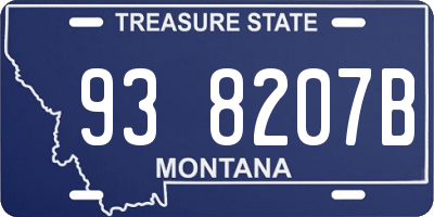 MT license plate 938207B