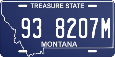 MT license plate 938207M
