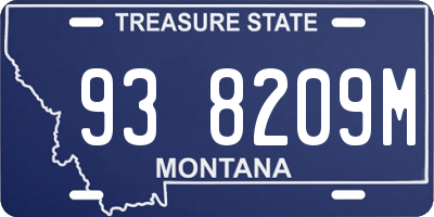 MT license plate 938209M