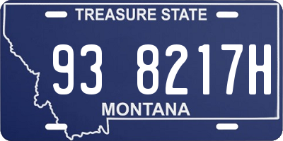 MT license plate 938217H