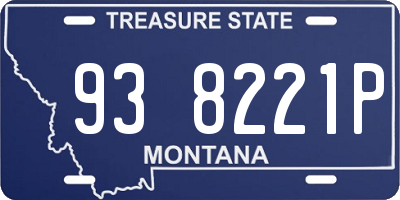 MT license plate 938221P