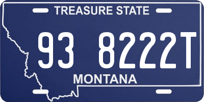 MT license plate 938222T