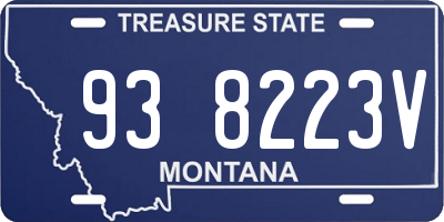 MT license plate 938223V