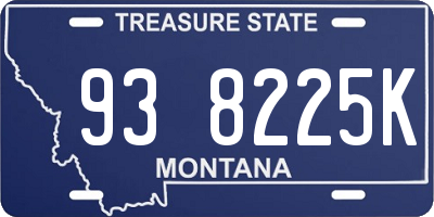 MT license plate 938225K