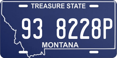 MT license plate 938228P