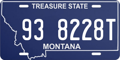 MT license plate 938228T