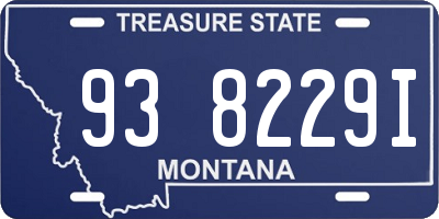 MT license plate 938229I
