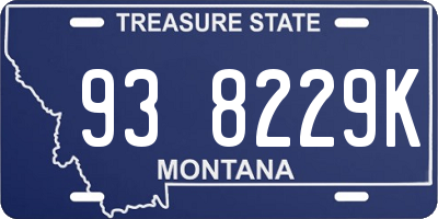 MT license plate 938229K