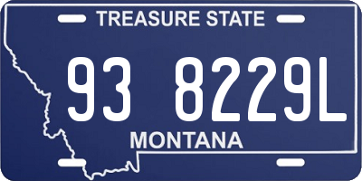 MT license plate 938229L