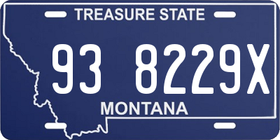 MT license plate 938229X