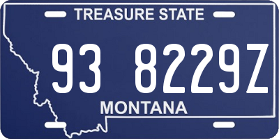 MT license plate 938229Z