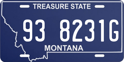 MT license plate 938231G