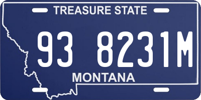 MT license plate 938231M