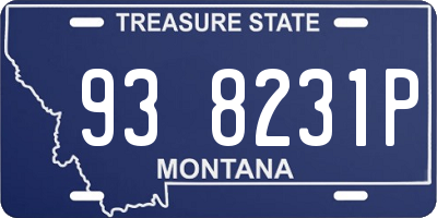 MT license plate 938231P