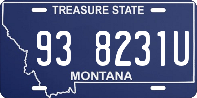 MT license plate 938231U