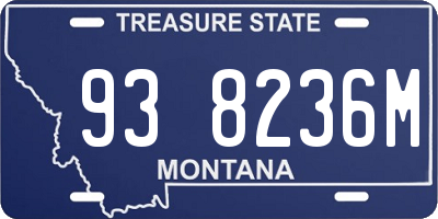 MT license plate 938236M