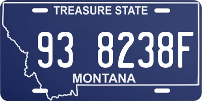 MT license plate 938238F