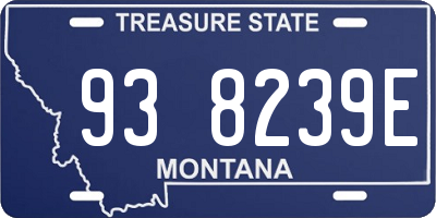 MT license plate 938239E
