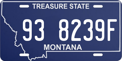 MT license plate 938239F