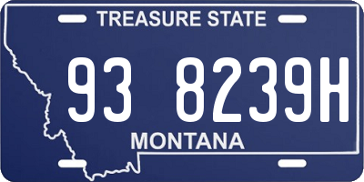 MT license plate 938239H