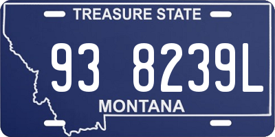 MT license plate 938239L