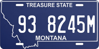 MT license plate 938245M