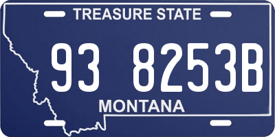 MT license plate 938253B