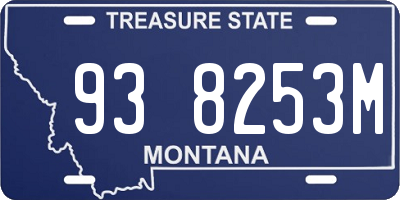 MT license plate 938253M