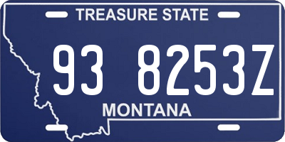 MT license plate 938253Z